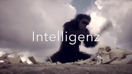 Intelligenz (Psycho to go)