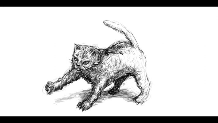 Tiere zeichnen / Tipps zum Zeichnen / Katzenvideo mit Bleistift